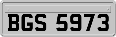 BGS5973