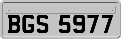 BGS5977