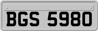 BGS5980