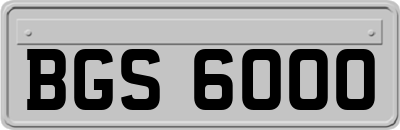 BGS6000