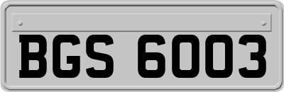 BGS6003