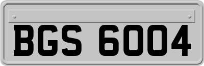 BGS6004
