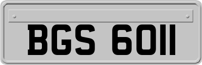 BGS6011