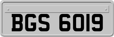 BGS6019
