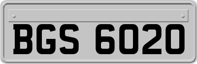 BGS6020