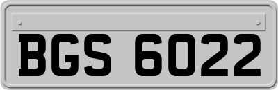 BGS6022
