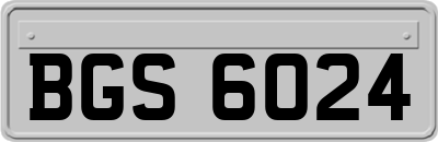 BGS6024