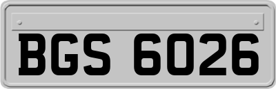 BGS6026