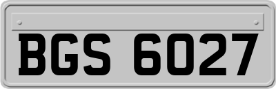 BGS6027