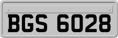 BGS6028