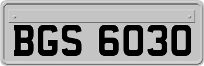 BGS6030