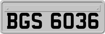 BGS6036
