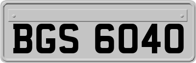 BGS6040