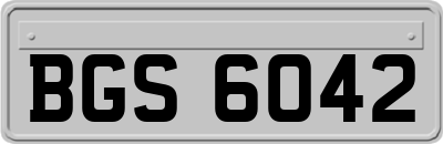 BGS6042