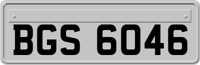 BGS6046