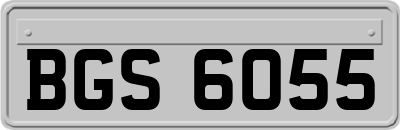 BGS6055