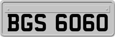 BGS6060