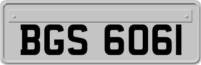 BGS6061