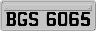 BGS6065