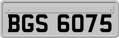 BGS6075