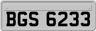 BGS6233