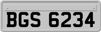 BGS6234