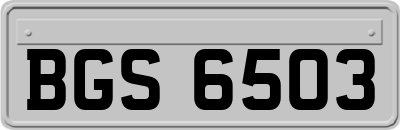 BGS6503