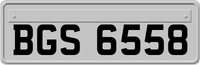 BGS6558