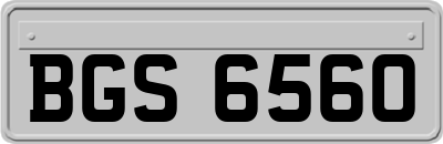 BGS6560