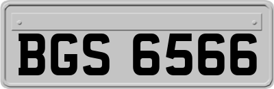 BGS6566
