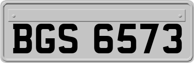 BGS6573