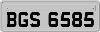 BGS6585