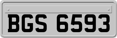 BGS6593