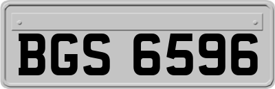 BGS6596