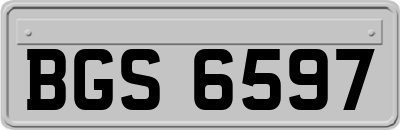 BGS6597