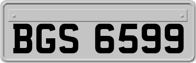 BGS6599