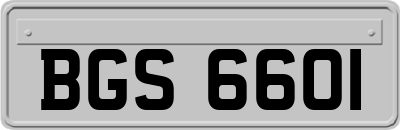 BGS6601