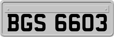 BGS6603