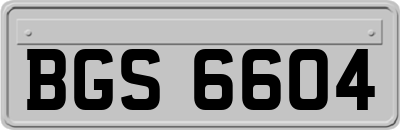BGS6604