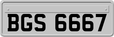 BGS6667