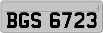 BGS6723