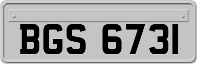 BGS6731