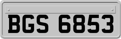 BGS6853
