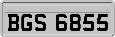 BGS6855