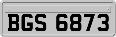 BGS6873