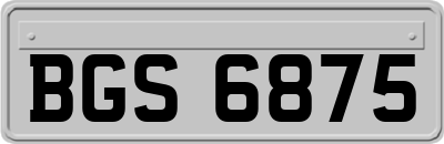 BGS6875