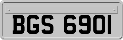 BGS6901