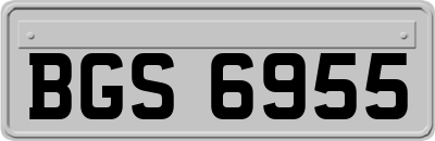 BGS6955