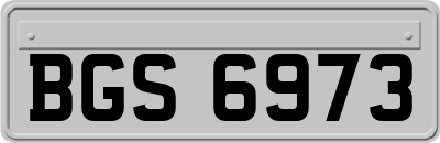 BGS6973
