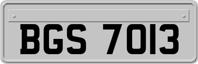 BGS7013